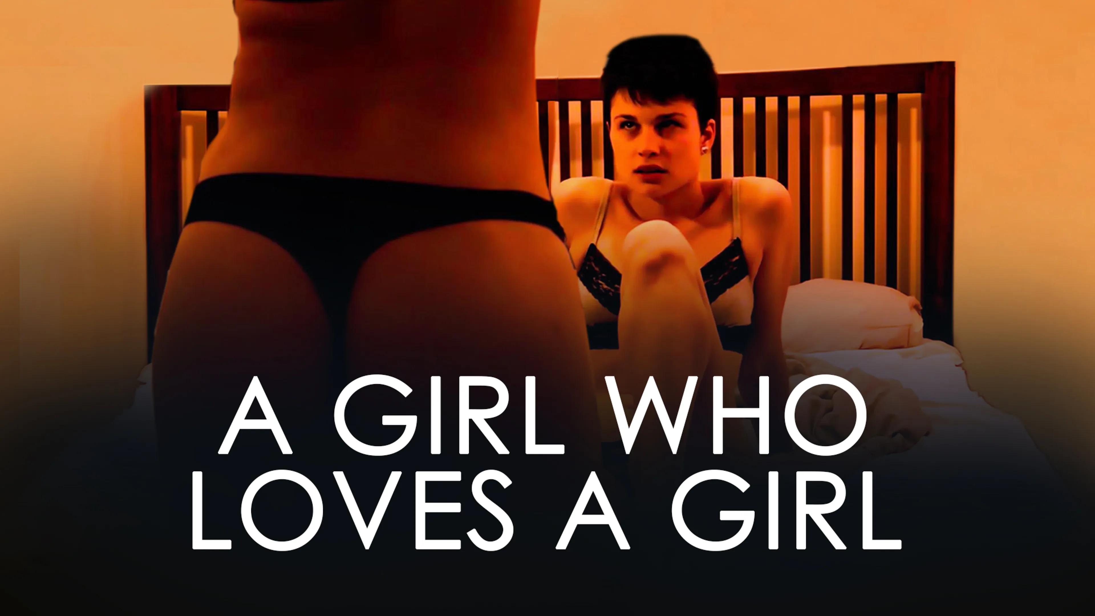 A Girl Who Loves A Girl poster
